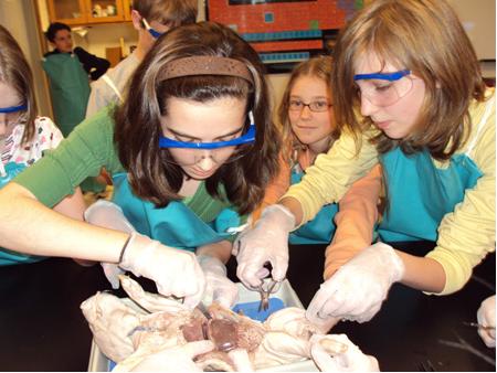 Picture of Middle School Academy kids working in the science lab